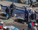 5D3 2836  Taken at Latitude/Longitude:31.507952/-9.775423.  km       (Map link) : Km to   in, geo:lat=31.507952, geo:lon=-9.775423, geotagged, 507952, 775423, geo:lat=31, geo:lon=-9, geotagged, Km to   in, 507952, 775423, geo:lat=31, geo:lon=-9, geotagged, Km to   in